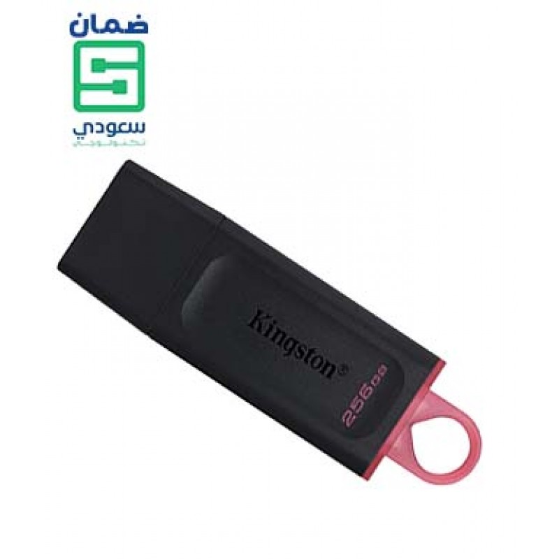 Kingston DataTraveler Exodia 256GB USB 3.2 Flash Drive DTX/256GB